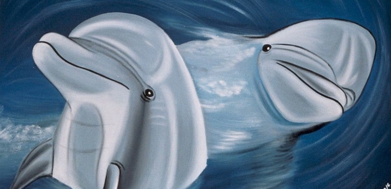ציורי קיר דולפינים